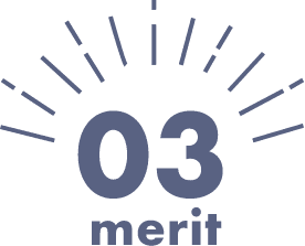 merit 03